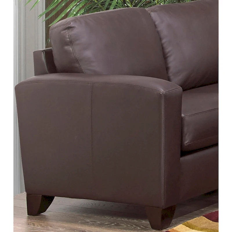 Bryce Italian Top Grain Leather Upholstered Transitional Sofa