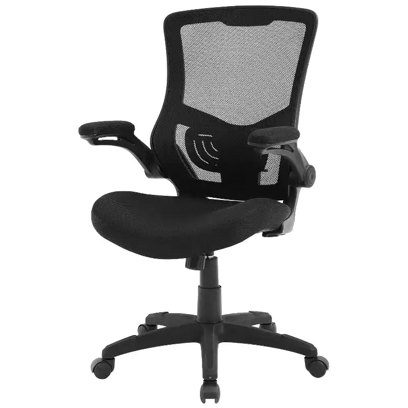 FDW Office Chair Home Chair Computer Chair with Lumbar Support Adjustable Armrests Flip-Up Arms & Swivel Base