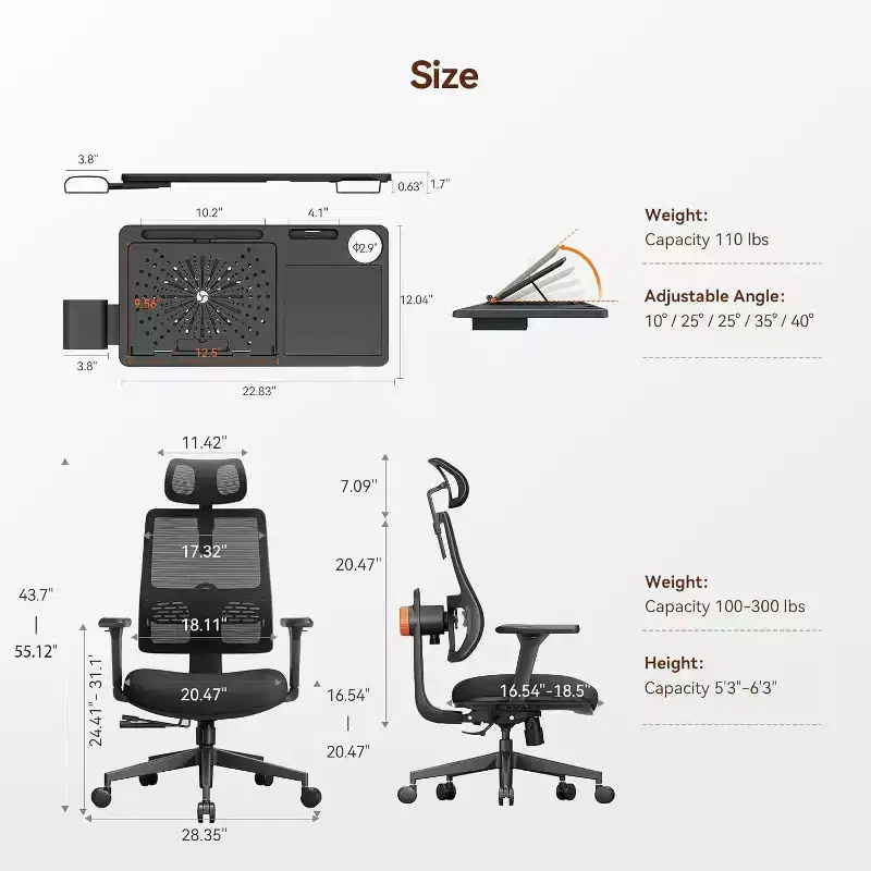 Ergonomic Office Chair with Adaptive Lumbar Support - Black