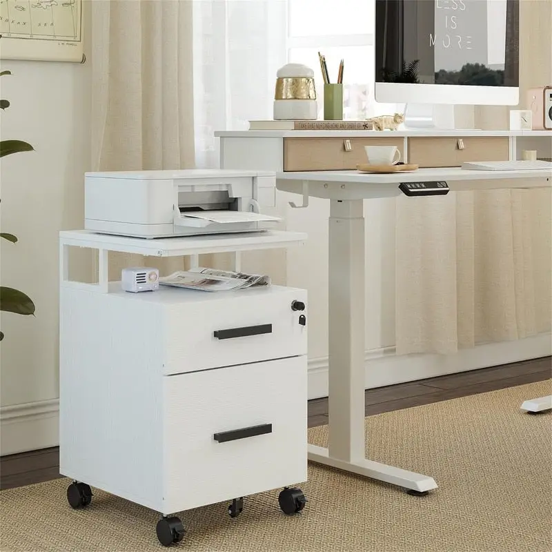 2-Drawer File Cabinet with Lock for Home Office - 17D x 24.3W x 16H