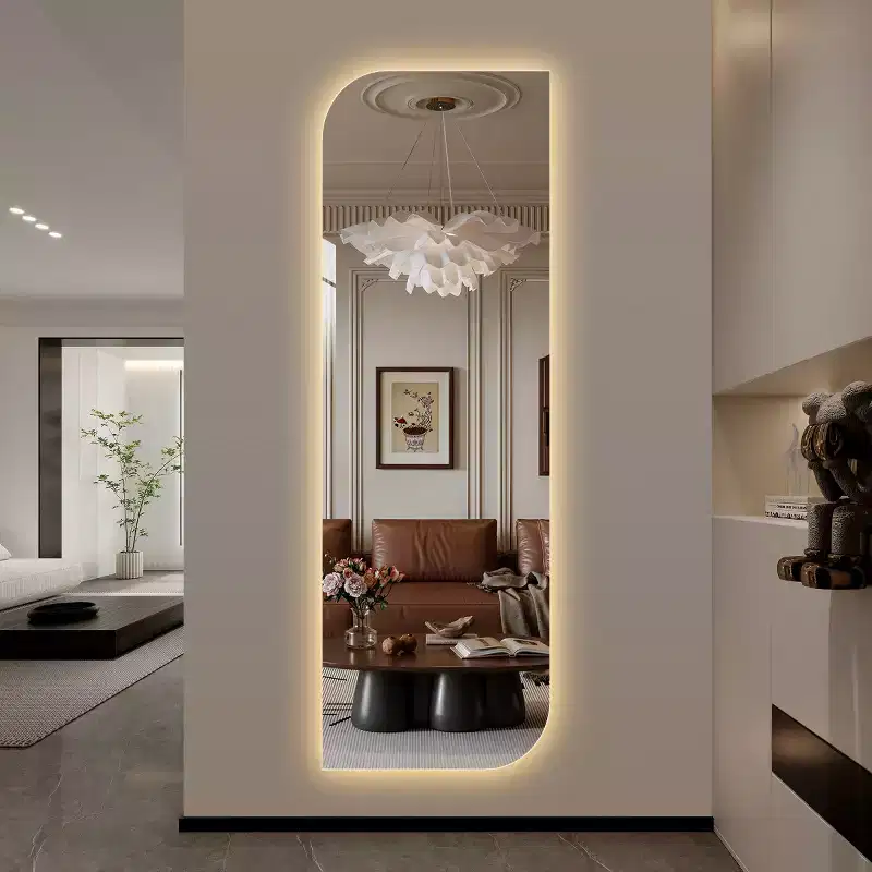 LED Full Length Wall Mirror with Light, Irregular Shape, Modern Vanity Mirror for Bedroom, Entryway, Dressing Room-Panipeachy