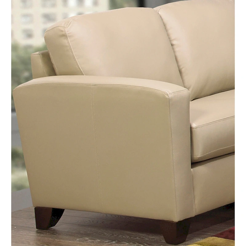 Bryce Italian Top Grain Leather Upholstered Transitional Sofa