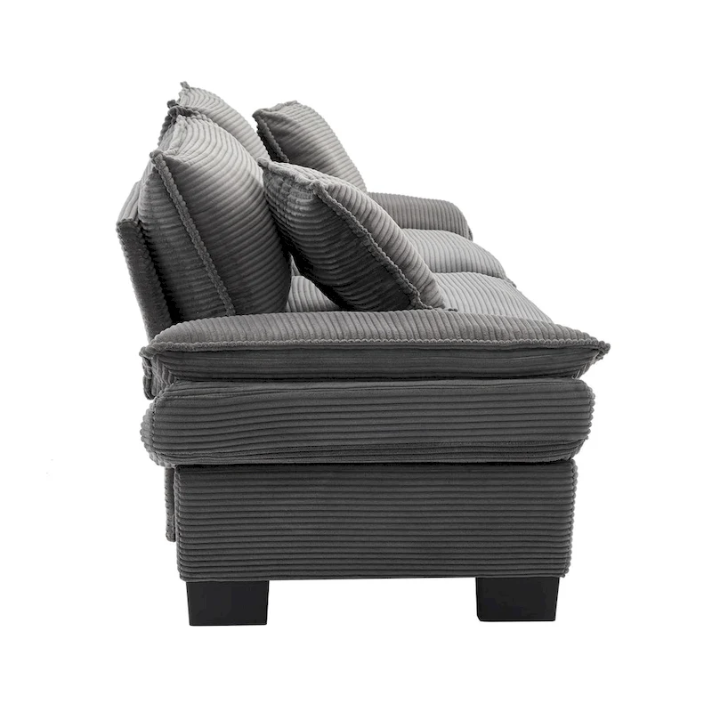 65.5 Upholstered 3-Seater Sofa Couch with Two Pillows and Sturdy Construction