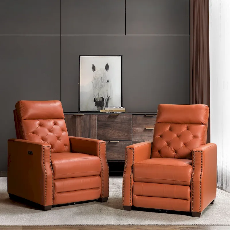 Alina 31.50Wide Genuine Leather Power Recliner with USB Port, Set of 2