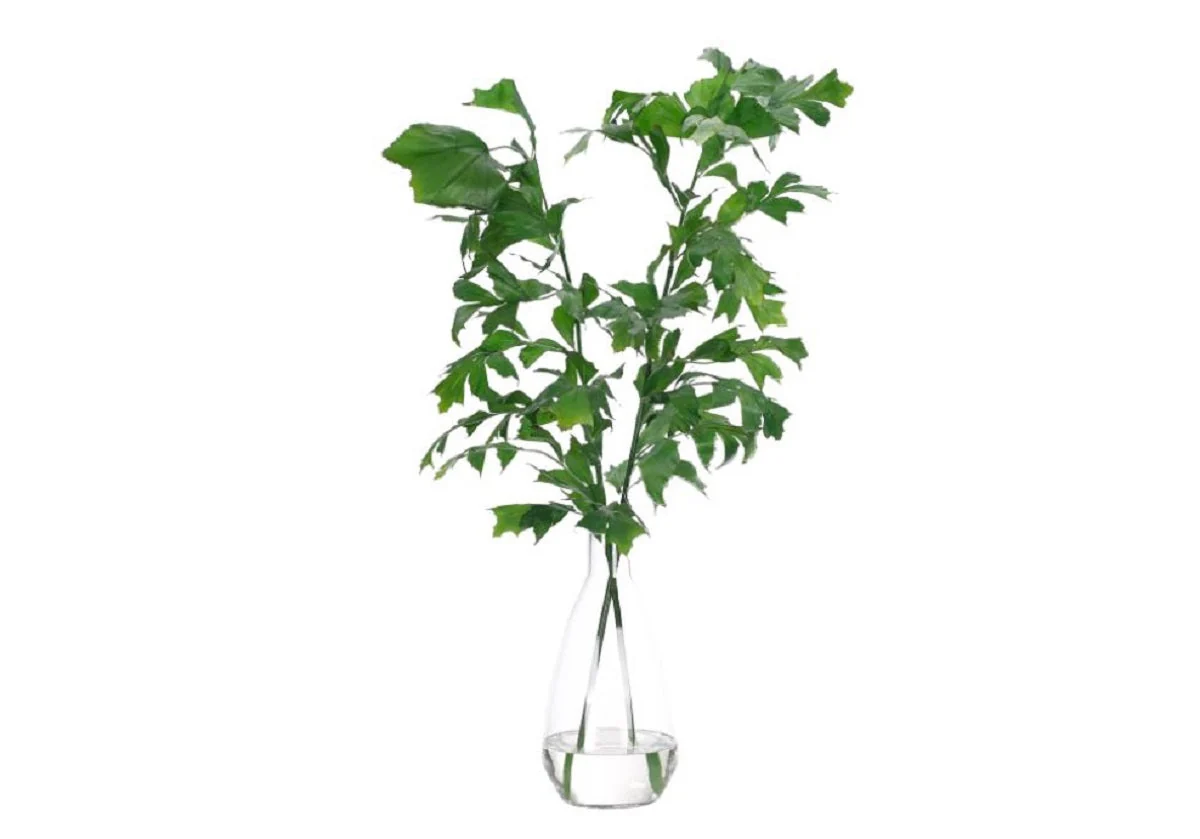 Tropical Synthetic Glass Fishtail Palm with Glass Vase for Living Room & Study