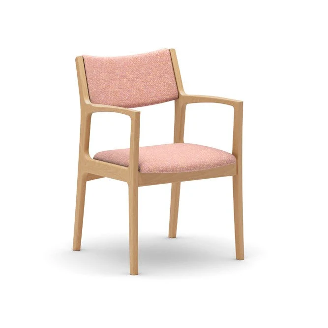 Dining Chair(Multiple colors are available for you to choose from.)