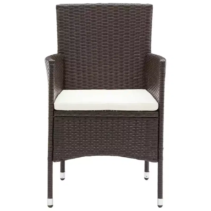 vidaXL Rattan Chair Set of 2 Poly Rattan and Steel