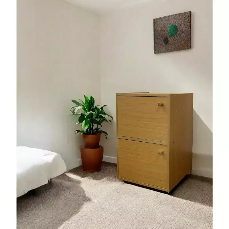 24 Natural Wood Bookcase