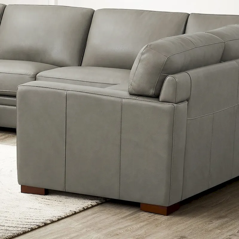 Hydeline Dillon Top Grain Leather Left-Facing Sectional Sofa with Chaise